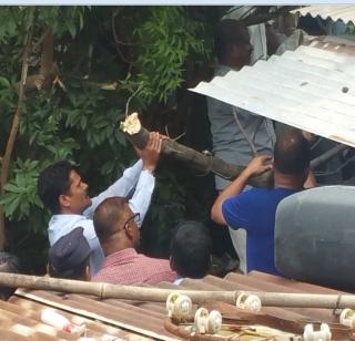 Wai massacre - Scorpion traps drawn from the fig tree | वाई हत्याकांड - अंजिराच्या झाडाखालून काढला वनिताच्या हाडांचा सापळा Wai massacre - Scorpion traps drawn from the fig tree | वाई हत्याकांड - अंजिराच्या झाडाखालून काढला वनिताच्या हाडांचा सापळा