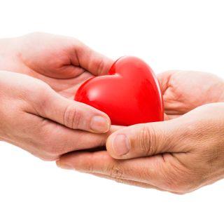 Organize awareness campaign will be implemented throughout the state | अवयवदान जागृती महाअभियान राज्यभर राबविणार Organize awareness campaign will be implemented throughout the state | अवयवदान जागृती महाअभियान राज्यभर राबविणार