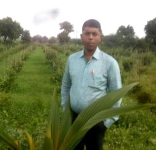 Australian Thaimalenanchi (Lemon) farmed on waste | ओसाड माळरानावर पिकवली आॅस्ट्रेलियन थायलेमनची (लिंबू)शेती