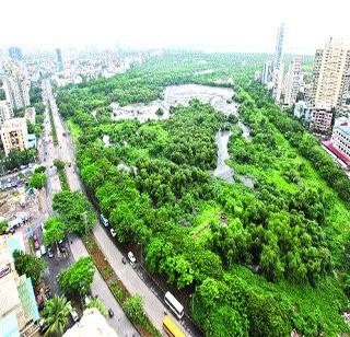 The holding pond's existence is in danger | होल्डिंग पाँडचे अस्तित्वच धोक्यात