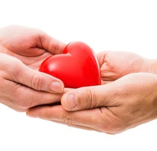 Online registration of organs | अवयवदानाची आॅनलाइन नोंदणी