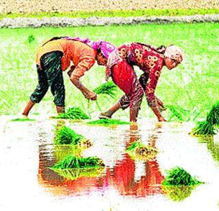 Parivartan farming on the land of project affected people | प्रकल्पग्रस्तांच्या जमिनीवर परप्रांतीयांची शेती Parivartan farming on the land of project affected people | प्रकल्पग्रस्तांच्या जमिनीवर परप्रांतीयांची शेती