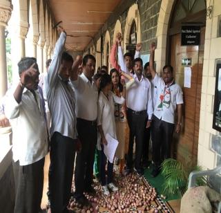 Kandifak agitation by Nationalist Youth Congress in Jalgaon | जळगावमध्ये राष्ट्रवादी युवक काँग्रेसतर्फे कांदाफेक आंदोलन Kandifak agitation by Nationalist Youth Congress in Jalgaon | जळगावमध्ये राष्ट्रवादी युवक काँग्रेसतर्फे कांदाफेक आंदोलन