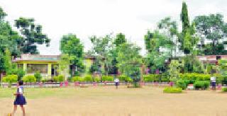 Green School: | हिरवी शाळा :