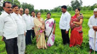 20 percent of the rows are still unfinished | २० टक्के रोवण्या अजूनही अपूर्णच