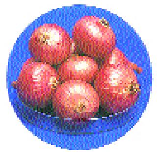 Government grants alot | शासनाचे अनुदान तुटपुंजे