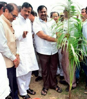 Need to make life on trees for them to grow | झाडे लावण्यासाठी त्यांच्यावर जीव लावणे गरजेचे Need to make life on trees for them to grow | झाडे लावण्यासाठी त्यांच्यावर जीव लावणे गरजेचे