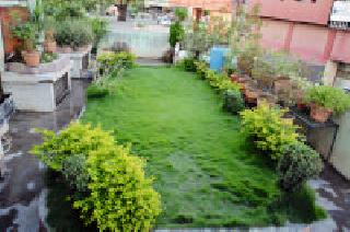 Roof garden: | छतावरचा बगीचा : Roof garden: | छतावरचा बगीचा :