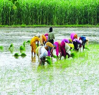 Diversion migrated to the city | दुष्काळग्रस्तांचे शहरात स्थलांतर Diversion migrated to the city | दुष्काळग्रस्तांचे शहरात स्थलांतर