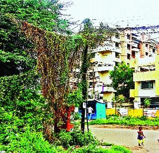 In the city, the mishap | शहरात महावितरणचा भोंगळ कारभार In the city, the mishap | शहरात महावितरणचा भोंगळ कारभार