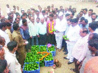 Chopper Chilli Start | ढोबळी मिरची लिलावाला प्रारंभ Chopper Chilli Start | ढोबळी मिरची लिलावाला प्रारंभ