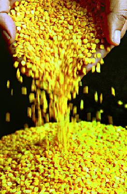 Tireless Due to Ration Paddy | रेशनच्या धान्यावर तूरडाळीची सक्ती Tireless Due to Ration Paddy | रेशनच्या धान्यावर तूरडाळीची सक्ती