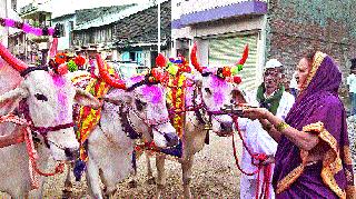 Dump rails | ढोल-ताशांच्या गजरात पोळा Dump rails | ढोल-ताशांच्या गजरात पोळा