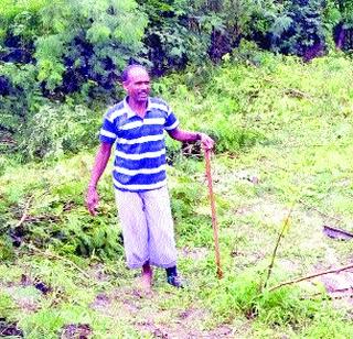 Wildfire became the forest guard in the suburbs | उपलाटमध्ये वनरक्षकच झाले वनभक्षक