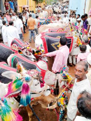 The day is filled with: | दिवस सर्जा गर्ज्याचा :