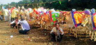 The feathers of the shepherds | पोळ््याच्या झडत्यांना प्रबोधनाची झालर The feathers of the shepherds | पोळ््याच्या झडत्यांना प्रबोधनाची झालर