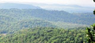 Chaucer's Beauty: | चौसाळ्याचे सौंदर्य : Chaucer's Beauty: | चौसाळ्याचे सौंदर्य :