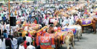 Enclosed swing applicant: ' | चढविल्या झुली एैनेदार : ‘ Enclosed swing applicant: ' | चढविल्या झुली एैनेदार : ‘