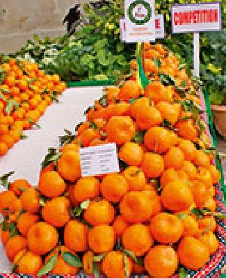 Organic Sikkim | सेंद्रिय सिक्कीम