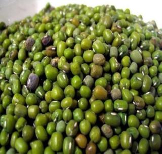 Buy a quagmire less than Hamidara | हमीदरापेक्षा कमी भावानेच मुगाची खरेदी Buy a quagmire less than Hamidara | हमीदरापेक्षा कमी भावानेच मुगाची खरेदी