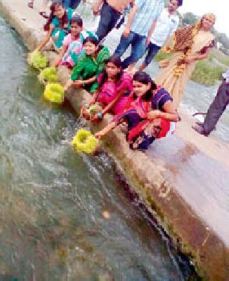 Immunization ... | हरतालिका विसर्जन... Immunization ... | हरतालिका विसर्जन...