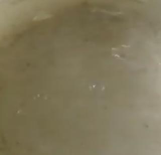 VIDEO - Mock species of the same species in the state of Lonar taluka | VIDEO- लोणार तालुक्यात राज्यात एकमेव झिंग्याची मायक्रो प्रजाती VIDEO - Mock species of the same species in the state of Lonar taluka | VIDEO- लोणार तालुक्यात राज्यात एकमेव झिंग्याची मायक्रो प्रजाती