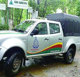 The latest gypsy in the Karnala Wildlife Sanctuary | कर्नाळा अभयारण्यात अद्ययावत जिप्सी