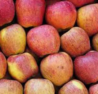 An attack of Kashmir's unrest in the apple hit | काश्मीरमधल्या अशांततेचा सफरचंदाला फटका An attack of Kashmir's unrest in the apple hit | काश्मीरमधल्या अशांततेचा सफरचंदाला फटका