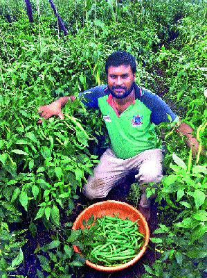 25 lakhs collected in two and a half acres | अडीच एकरमध्ये घेतले २५ लाखांचे उत्पन्न