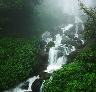 Sindhudurg is the most clean district of Maharashtra in rural India | ग्रामीण भारतामध्ये महाराष्ट्रातील सिंधुदुर्ग सर्वात स्वच्छ जिल्हा