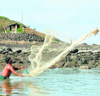 Get biometric cards of fishermen in the district | मच्छीमारांचे बायोमेट्रिक कार्ड जिल्ह्यात मिळावे Get biometric cards of fishermen in the district | मच्छीमारांचे बायोमेट्रिक कार्ड जिल्ह्यात मिळावे