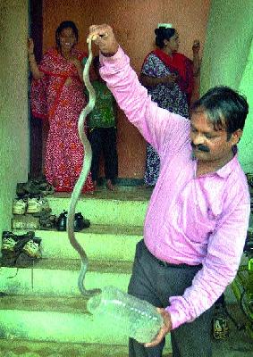 Snake under stone, bath on him, bath on him | दगडाखाली नाग, त्याच्यावरच स्नान