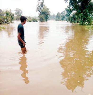 Extremely heavy water | अतिवृष्टीने सालेकसा जलमय