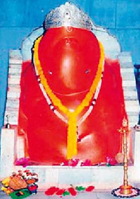 A crowd of devotees at Keljhar's Siddhi Vinayak Temple | केळझरच्या सिद्धीविनायक मंदिरात भाविकांची गर्दी