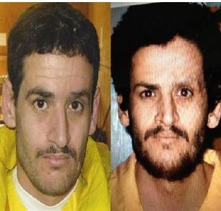 Isis's spokesman and spokesman Abu Mohammed al Adnani was killed | इसिसचा म्होरक्या व प्रवक्ता अबू मोहमद अल अदनानी ठार Isis's spokesman and spokesman Abu Mohammed al Adnani was killed | इसिसचा म्होरक्या व प्रवक्ता अबू मोहमद अल अदनानी ठार