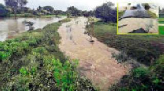 Half of the paddy pockets fell apart | पाळ फुटून शेकडो एकरातील धानपीक बुडाले