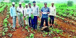 Farm losses | शेतीचे नुकसान Farm losses | शेतीचे नुकसान