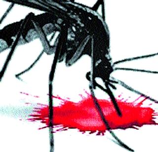 In two months the patient grew | दोन महिन्यांत रुग्ण वाढले In two months the patient grew | दोन महिन्यांत रुग्ण वाढले