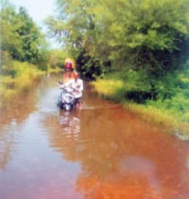 Due to water logging on the Arhenwargaon route, obstruct the traffic | अऱ्हेरनवरगाव मार्गावर पाणी साचल्याने वाहतुकीस अडथळा Due to water logging on the Arhenwargaon route, obstruct the traffic | अऱ्हेरनवरगाव मार्गावर पाणी साचल्याने वाहतुकीस अडथळा
