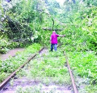 The train is closed for four hours by the collapse of the tree | झाड कोसळल्याने रेल्वे मार्ग चार तास बंद The train is closed for four hours by the collapse of the tree | झाड कोसळल्याने रेल्वे मार्ग चार तास बंद