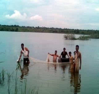 Washim turned to fishery business! | वाशिमचे युवक वळले मत्स्य व्यवसायाकडे! Washim turned to fishery business! | वाशिमचे युवक वळले मत्स्य व्यवसायाकडे!