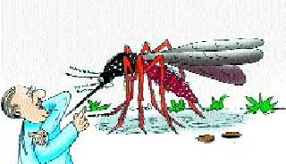 Dengue administration administration | डेंग्यूवरून प्रशासन धारेवर Dengue administration administration | डेंग्यूवरून प्रशासन धारेवर