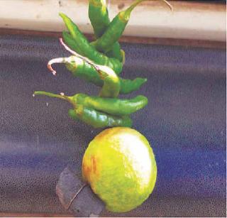 Anti-superstition Eradication Act due to complaining of complaint! | तक्रार करण्याच्या उदासीनतेमुळे अंधश्रद्धा निर्मूलन कायदा अडगळीत! Anti-superstition Eradication Act due to complaining of complaint! | तक्रार करण्याच्या उदासीनतेमुळे अंधश्रद्धा निर्मूलन कायदा अडगळीत!