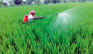 10 percent area under cultivation falls | लागवडीखालील १० टक्के क्षेत्र पडित