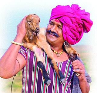 Mulshi.com complies with farmers' grievances | शेतकऱ्यांच्या संवेदना मांडणार मुळशी डॉट कॉम
