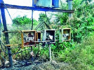 In the Indiranagar area, darkness from eight days | इंदिरानगर परिसरात आठ दिवसांपासून अंधार