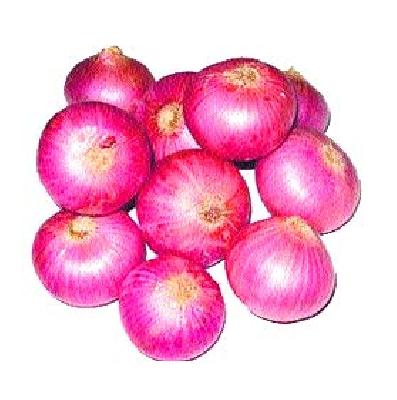 Onion subsidy benefits will be justified by farmers | कांदा अनुदानाचा लाभ ठरावीक शेतकऱ्यांनाच