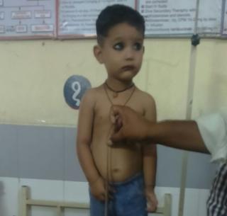Two-and-a-half-year-old son plays - crushed snake playing! | अडीच वर्षाच्या मुलाने खेळता- खेळता ठेचला साप! Two-and-a-half-year-old son plays - crushed snake playing! | अडीच वर्षाच्या मुलाने खेळता- खेळता ठेचला साप!