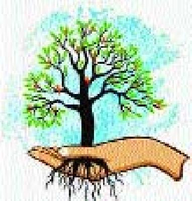Thirty-five thousand species of native species are planted | मनपाने लावली साडेचार हजार देशी प्रजातीची झाडे