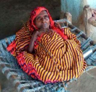 The roof fell on the 5-foot height of 'ti', 2 ft | छप्पर अंगावर कोसळल्याने 5 फूट उंचीची 'ती' झाली 2 फूट